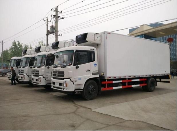 上海冷冻运输 上海冷藏货运公司 上海恒温运输